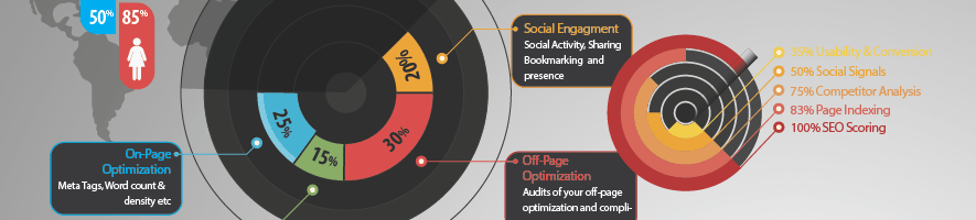 seo-report