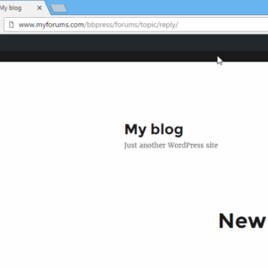 BBPress URLs Addon